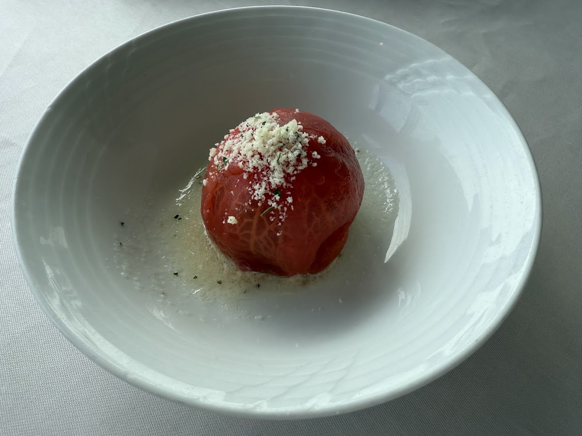 Salute Takeshiba Photos 2